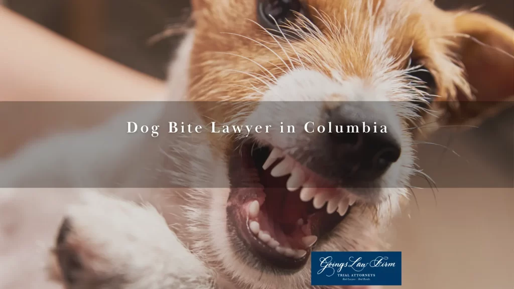 Dog bite lawyer discount